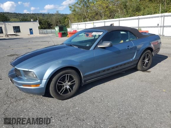 ✅ 2006 Ford Mustang Standard • VIN: 1ZVFT84N465157237 • Lot: 81559065. Listed on Copart with 206,561 mi. Free auction sales archive from the USA and detailed vehicle history report at DreamBid. Image 1.