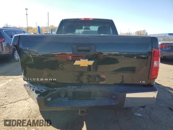 ✅ 2013 Chevrolet Silverado 1500 Work Truck • VIN: 1GCNCPEX0DZ233034 • Lot: 77428394. Listed on Copart with 110,819 mi. Free auction sales archive from the USA and detailed vehicle history report at DreamBid. Image 6.