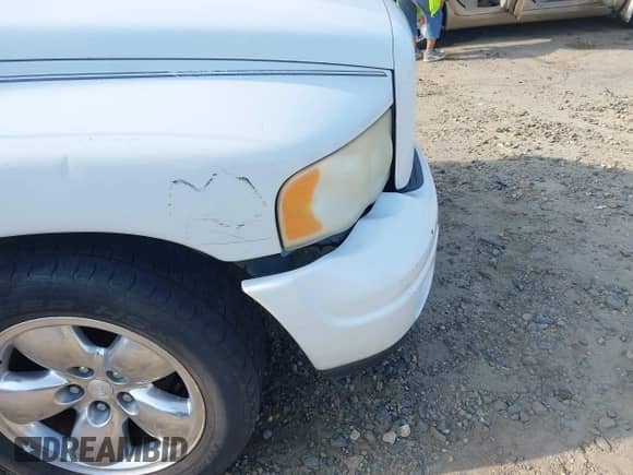 2003 Dodge 1500 ST z VIN 1D7HA18N83S214724, wystawiony jako IAAI lot #42566134 z przebiegiem 280 750 mil mil oraz . Historia ofert i sprzedaży dostępna na DreamBid. Obrazek 15.