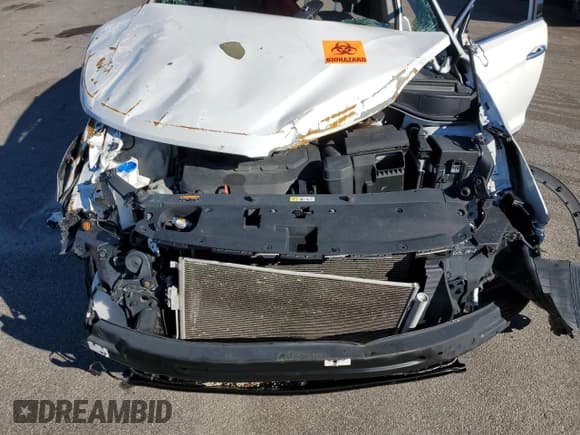 ✅ 2017 Hyundai Santa Fe 2.4L • VIN: 5NMZUDLB6HH019194 • Lot: 86827415. Listed on Copart with 93,700 mi. Free auction sales archive from the USA and detailed vehicle history report at DreamBid. Image 11.