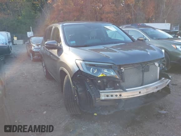 ✅ 2019 Honda Pilot EX-L • VIN: 5FNYF5H51KB030692 • Lot: 43469923. Wystawiony na IAAI z przebiegiem 51 888 mil. Bezpłatny archiwum sprzedaży aukcyjnych z USA i szczegółowy raport historii pojazdu na DreamBid. Zdjęcie 1.