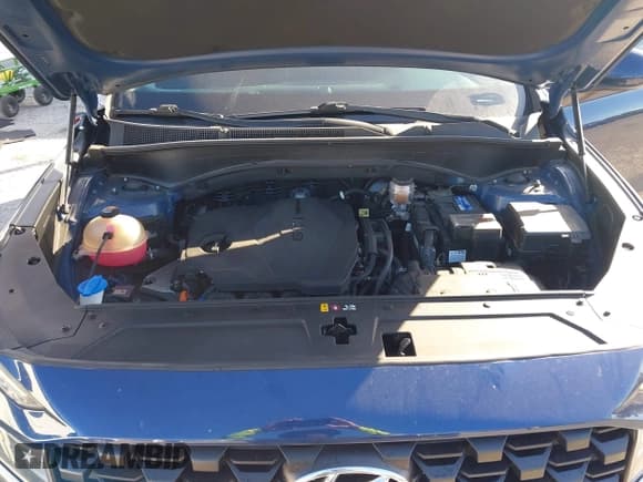 ✅ 2021 Hyundai Santa Fe SE • VIN: 5NMS14AJ0MH341165 • Lot: 43543037. Wystawiony na IAAI z przebiegiem 44 716 mil. Bezpłatny archiwum sprzedaży aukcyjnych z USA i szczegółowy raport historii pojazdu na DreamBid. Zdjęcie 10.