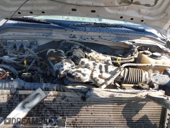 ✅ 2008 Ford F-250 XL • VIN: 1FTSX20568EE05290 • Лот: 42053165. Опубликован ранее на IAAI с пробегом 231 654 миль. Бесплатный доступ к архиву аукционных продаж из США и подробный отчёт об истории автомобиля на DreamBid. Изображение 10.