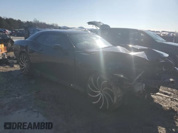 ✅ 2014 Dodge Challenger SXT • VIN: 2C3CDYAG4EH289533 • Lot: 41731625. Wystawiony na Copart z przebiegiem 178 845 mil. Bezpłatny archiwum sprzedaży aukcyjnych z USA i szczegółowy raport historii pojazdu na DreamBid. Zdjęcie 4.