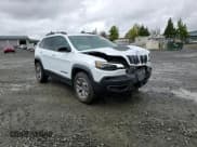 ✅ 2023 Jeep Cherokee Trailhawk • VIN: 1C4PJMBN9PD105666 • Lot: 71781754. Wystawiony na Copart z przebiegiem 13 684 mil. Bezpłatny archiwum sprzedaży aukcyjnych z USA i szczegółowy raport historii pojazdu na DreamBid. Zdjęcie 11.