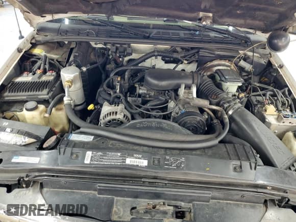 ✅ 1996 Chevrolet Blazer • VIN: 1GNDT13W5T2230602 • Lot: 87273235. Wystawiony na Copart z przebiegiem 201 815 mil. Bezpłatny archiwum sprzedaży aukcyjnych z USA i szczegółowy raport historii pojazdu na DreamBid. Zdjęcie 12.