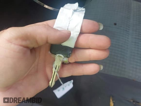 ✅ 2004 Nissan Titan LE • VIN: 1N6AA07B74N581334 • Лот: 42265633. Опубликован ранее на IAAI с пробегом 189 892 миль. Бесплатный доступ к архиву аукционных продаж из США и подробный отчёт об истории автомобиля на DreamBid. Изображение 11.