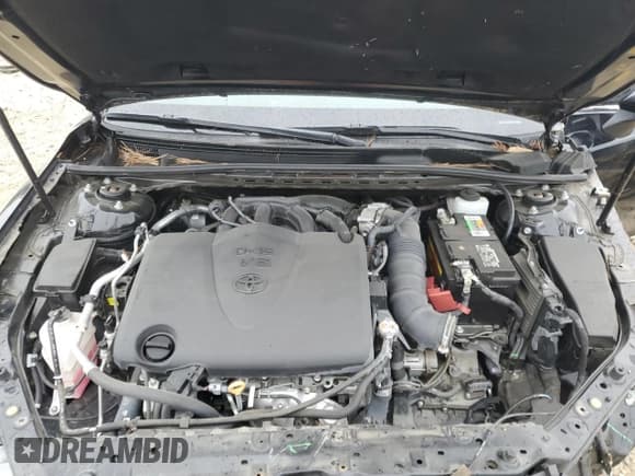 ✅ 2019 Toyota Camry XLE • VIN: 4T1BZ1HK3KU031244 • Lot: 86531885. Listed on Copart with 49,313 mi. Free auction sales archive from the USA and detailed vehicle history report at DreamBid. Image 11.