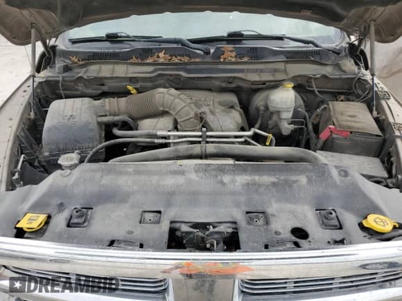 2009 Dodge 1500 Sport z VIN 1D3HB13T99J510015, wystawiony jako Copart lot #57271235 z przebiegiem 178 302 mil mil oraz Szkoda całkowita • Salvage title. Historia ofert i sprzedaży dostępna na DreamBid. Obrazek 12.