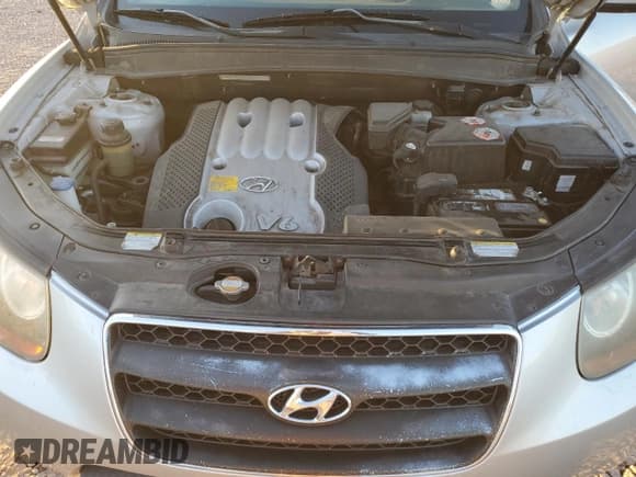 ✅ 2007 Hyundai Santa Fe GLS • VIN: KM8SG13D97U099005 • Lot: 84812274. Listed on Copart with 199,755 mi. Free auction sales archive from the USA and detailed vehicle history report at DreamBid. Image 12.