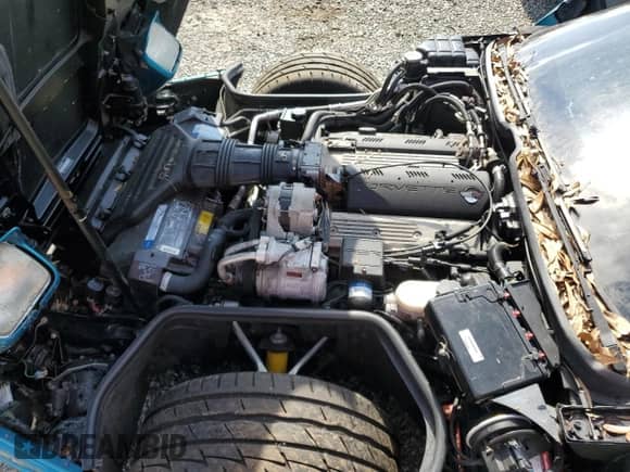 1992 Chevrolet Corvette with VIN 1G1YY23P1N5114172, listed as a Copart auction lot 44402695 with Not provided miles and Salvage title. Bid and sale history available at DreamBid. Image 11.