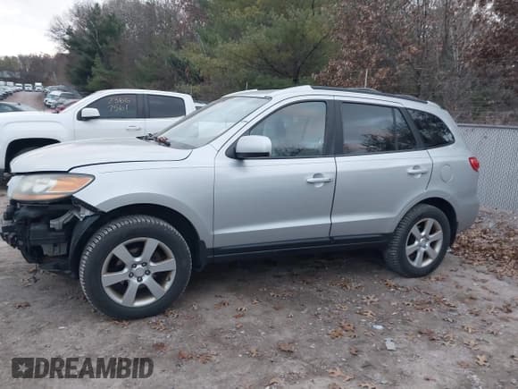 ✅ 2009 Hyundai Santa Fe SE • VIN: 5NMSH73E89H267854 • Lot: 43656984. Listed on IAAI with 174,340 mi. Free auction sales archive from the USA and detailed vehicle history report at DreamBid. Image 14.