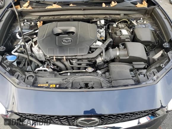 ✅ 2024 Mazda CX-30 S Premium • VIN: 3MVDMBDM2RM620260 • Лот: 85313544. Опубликован ранее на Copart с пробегом 6 877 миль. Бесплатный доступ к архиву аукционных продаж из США и подробный отчёт об истории автомобиля на DreamBid. Изображение 11.