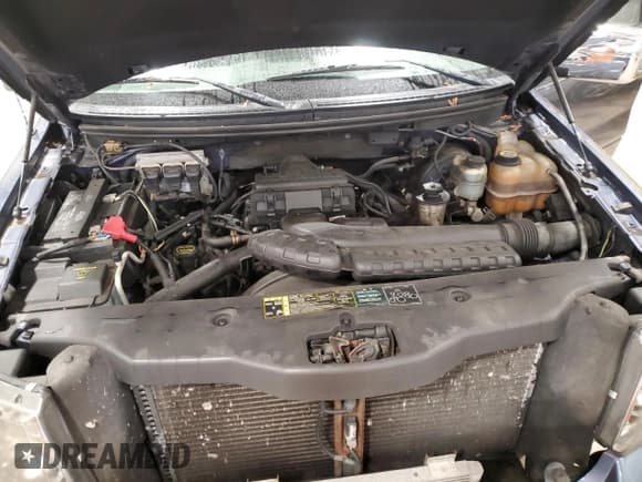 ✅ 2004 Ford F-150 XLT • VIN: 1FTPX14514NB80152 • Lot: 86450194. Wystawiony na Copart z przebiegiem 153 760 mil. Bezpłatny archiwum sprzedaży aukcyjnych z USA i szczegółowy raport historii pojazdu na DreamBid. Zdjęcie 11.