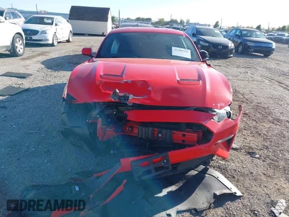 ✅ 2019 Ford Mustang EcoBoost • VIN: 1FA6P8THXK5172523 • Lot: 43509335. Wystawiony na IAAI z przebiegiem 79 889 mil. Bezpłatny archiwum sprzedaży aukcyjnych z USA i szczegółowy raport historii pojazdu na DreamBid. Zdjęcie 13.