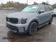 ✅ 2024 Kia Telluride SX X-Pro • VIN: 5XYP5DGC3RG521552 • Lot: 43437862. Wystawiony na IAAI z przebiegiem 8 808 mil. Bezpłatny archiwum sprzedaży aukcyjnych z USA i szczegółowy raport historii pojazdu na DreamBid. Zdjęcie 19.