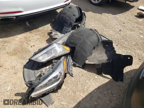 2015 Hyundai Genesis 3.8L z VIN KMHGN4JE6FU100036, wystawiony jako Copart lot #67147744 z przebiegiem 135 833 mil mil oraz Szkoda całkowita • Salvage title. Historia ofert i sprzedaży dostępna na DreamBid. Obrazek 12.