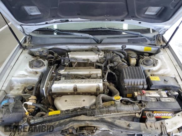 ✅ 2003 Kia Optima LX • VIN: KNAGD126835231470 • Лот: 81158395. Опубликован ранее на Copart с пробегом 126 172 миль. Бесплатный доступ к архиву аукционных продаж из США и подробный отчёт об истории автомобиля на DreamBid. Изображение 11.