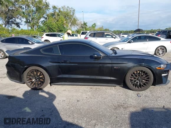 ✅ 2019 Ford Mustang GT • VIN: 1FA6P8CFXK5173167 • Lot: 43619940. Listed on IAAI with 58,477 mi. Free auction sales archive from the USA and detailed vehicle history report at DreamBid. Image 13.