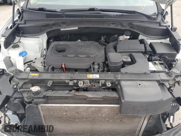 ✅ 2017 Hyundai Santa Fe 2.4L • VIN: 5NMZU3LB8HH034824 • Лот: 80756203. Опубликован ранее на Copart с пробегом 114 041 миль. Бесплатный доступ к архиву аукционных продаж из США и подробный отчёт об истории автомобиля на DreamBid. Изображение 11.