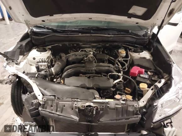 2015 Subaru Forester Premium with VIN JF2SJADC1FH538492, listed as a IAAI auction lot 43332332 with 171,796 mi miles and . Bid and sale history available at DreamBid. Image 10.