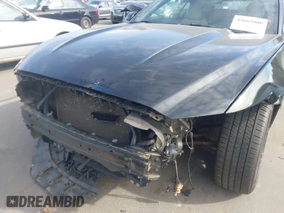 ✅ 2017 Ford Mustang EcoBoost Premium • VIN: 1FATP8UHXH5258313 • Lot: 43663800. Wystawiony na IAAI z przebiegiem 112 620 mil. Bezpłatny archiwum sprzedaży aukcyjnych z USA i szczegółowy raport historii pojazdu na DreamBid. Zdjęcie 20.