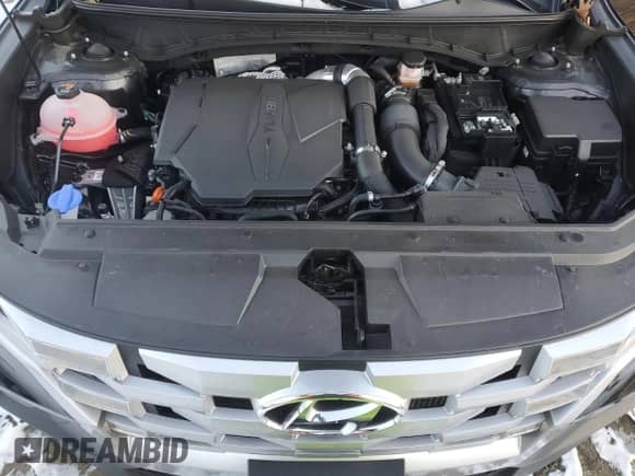 2022 Hyundai Santa Cruz SEL Premium с VIN 5NTJDDAF8NH015716, выставлен на аукционе Copart как лот 87529445 с пробегом 18 194 миль миль и Списание • Salvage title. История ставок и продаж доступна на DreamBid. Изображение 12.