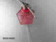 1994 Dodge Dakota z VIN 1B7GG23X0RS575506, wystawiony jako IAAI lot #40965226 z przebiegiem 89 884 mil mil oraz . Historia ofert i sprzedaży dostępna na DreamBid. Obrazek 11.