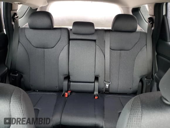 ✅ 2023 Hyundai Santa Fe SEL • VIN: 5NMS2DAJ8PH599810 • Lot: 38441824. Wystawiony na Copart z przebiegiem 4 411 mil. Bezpłatny archiwum sprzedaży aukcyjnych z USA i szczegółowy raport historii pojazdu na DreamBid. Zdjęcie 10.