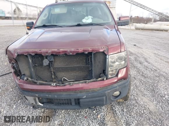 ✅ 2010 Ford F-150 XL • VIN: 1FTFW1EVXAFB92903 • Лот: 43636313. Опубликован ранее на IAAI с пробегом 186 368 миль. Бесплатный доступ к архиву аукционных продаж из США и подробный отчёт об истории автомобиля на DreamBid. Изображение 12.