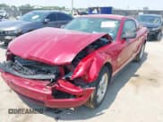 ✅ 2009 Ford Mustang • VIN: 1ZVHT80N295128452 • Lot: 43075740. Listed on IAAI with Not provided. Free auction sales archive from the USA and detailed vehicle history report at DreamBid. Image 6.