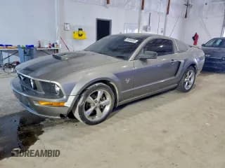 ✅ 2009 Ford Mustang GT • VIN: 1ZVHT82H995145580 • Лот: 96566365. Опубликован ранее на Copart с пробегом 97 809 миль. Бесплатный доступ к архиву аукционных продаж из США и подробный отчёт об истории автомобиля на DreamBid. Изображение 1.