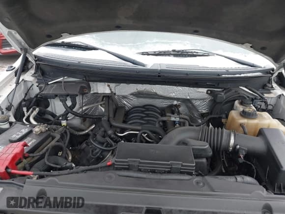 ✅ 2011 Ford F-150 XL • VIN: 1FTFW1EF2BKE07904 • Lot: 41546266. Wystawiony na IAAI z przebiegiem 145 184 mil. Bezpłatny archiwum sprzedaży aukcyjnych z USA i szczegółowy raport historii pojazdu na DreamBid. Zdjęcie 10.