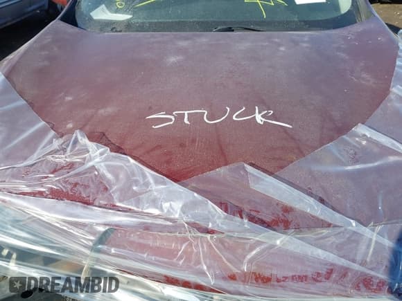 ✅ 2010 Nissan Maxima SV • VIN: 1N4AA5AP4AC812997 • Lot: 41657107. Listed on IAAI with Not provided. Free auction sales archive from the USA and detailed vehicle history report at DreamBid. Image 10.