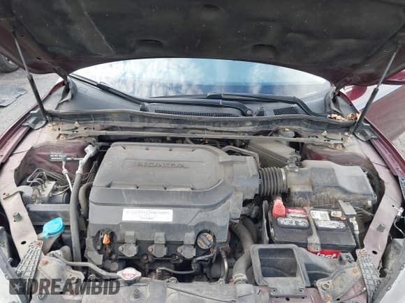 ✅ 2013 Honda Accord EX-L • VIN: 1HGCR3F85DA019324 • Lot: 43592075. Listed on IAAI with 209,290 mi. Free auction sales archive from the USA and detailed vehicle history report at DreamBid. Image 10.