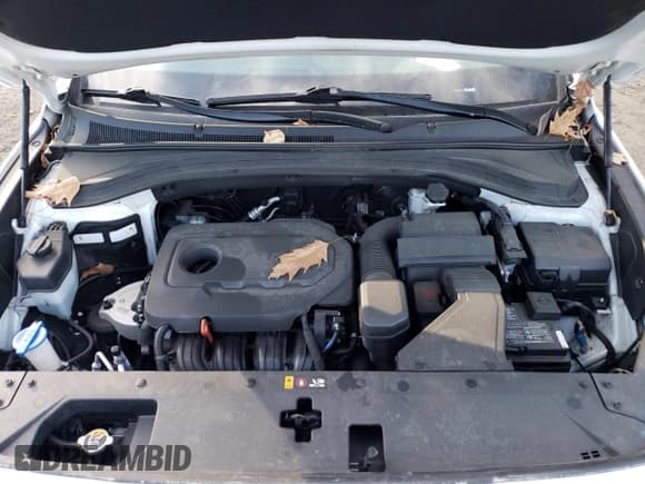 ✅ 2020 Hyundai Santa Fe SEL • VIN: 5NMS3CAD4LH296907 • Лот: 41057043. Опубликован ранее на Copart с пробегом 40 627 миль. Бесплатный доступ к архиву аукционных продаж из США и подробный отчёт об истории автомобиля на DreamBid. Изображение 13.