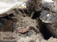 ✅ 2019 Toyota 4Runner SR5 • VIN: JTEBU5JR2K5612032 • Lot: 41379897. Listed on IAAI with 105,170 mi. Free auction sales archive from the USA and detailed vehicle history report at DreamBid. Image 5.