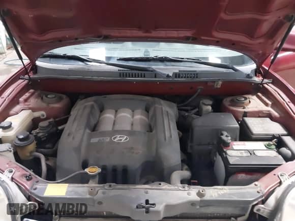 2003 Hyundai Santa Fe GLS с VIN KM8SC73D63U368408, выставлен на аукционе IAAI как лот 41514597 с пробегом 137 895 миль миль и . История ставок и продаж доступна на DreamBid. Изображение 10.