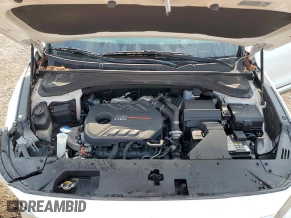 ✅ 2019 Hyundai Santa Fe Preferred • VIN: 5NMS3CAA6KH038117 • Lot: 62792735. Wystawiony na Copart z przebiegiem 90 138 mil mil. Skorzystaj z bezpłatnego archiwum sprzedaży aukcyjnych z USA i zobacz szczegółowy raport historii pojazdu na DreamBid. Zdjęcie 12.