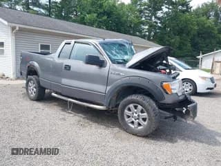 ✅ 2010 Ford F-150 XL • VIN: 1FTEX1E80AFC22560 • Лот: 42590587. Опубликован ранее на IAAI с пробегом 178 420 миль. Бесплатный доступ к архиву аукционных продаж из США и подробный отчёт об истории автомобиля на DreamBid. Изображение 1.