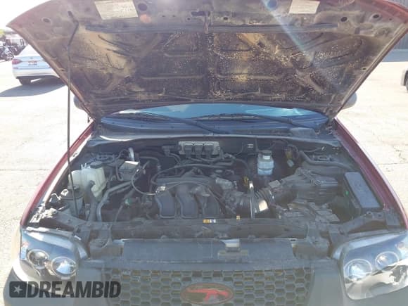 ✅ 2006 Ford Escape XLT • VIN: 1FMYU03156KB19294 • Lot: 42553287. Listed on IAAI with 128,755 mi. Free auction sales archive from the USA and detailed vehicle history report at DreamBid. Image 10.