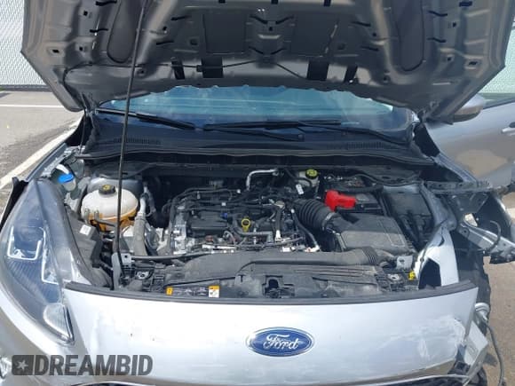 ✅ 2021 Ford Escape SEL • VIN: 1FMCU0H6XMUB20523 • Lot: 42446320. Wystawiony na IAAI z przebiegiem 37 681 mil. Bezpłatny archiwum sprzedaży aukcyjnych z USA i szczegółowy raport historii pojazdu na DreamBid. Zdjęcie 10.