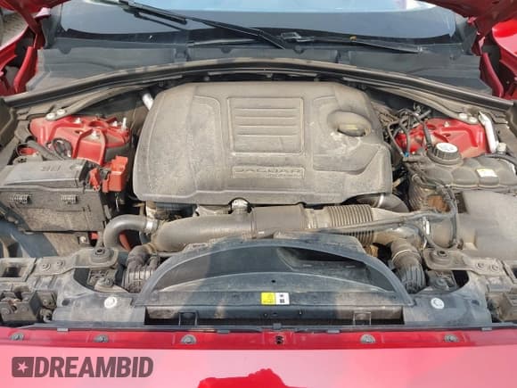 ✅ 2019 Jaguar F-Pace 25t Premium • VIN: SADCJ2FX4KA354390 • Lot: 42384285. Wystawiony na IAAI z przebiegiem 113 061 mil. Bezpłatny archiwum sprzedaży aukcyjnych z USA i szczegółowy raport historii pojazdu na DreamBid. Zdjęcie 10.