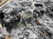 1992 Chevrolet Corvette with VIN 1G1YY23P0N5105883, listed as a Copart auction lot 87879695 with Not provided miles and Salvage title. Bid and sale history available at DreamBid. Image 8.