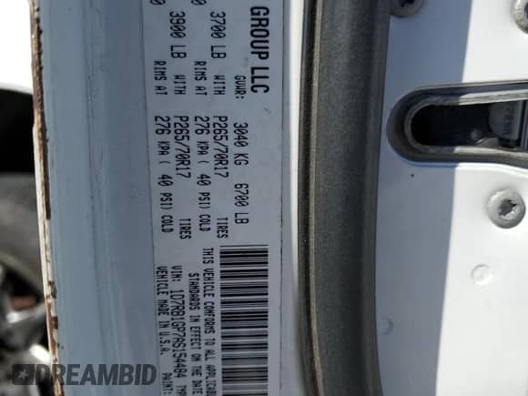 2010 Dodge 1500 ST with VIN 1D7RB1GP7AS154484, listed as a Copart auction lot 77488534 with 159,969 mi miles and Salvage title. Bid and sale history available at DreamBid. Image 12.