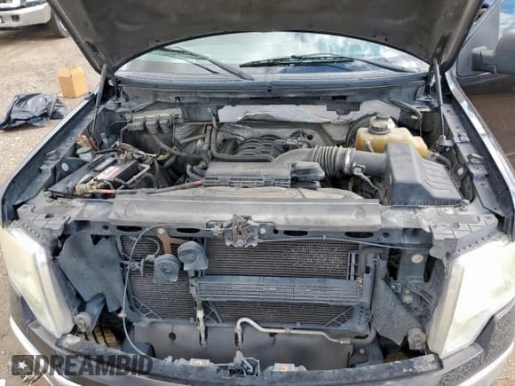 ✅ 2013 Ford F-150 XLT • VIN: 1FTFW1CF3DKF36126 • Лот: 80902905. Опубликован ранее на Copart с пробегом 278 817 миль. Бесплатный доступ к архиву аукционных продаж из США и подробный отчёт об истории автомобиля на DreamBid. Изображение 11.