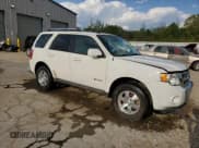 ✅ 2009 Ford Escape Hybrid • VIN: 1FMCU49309KB80891 • Lot: 52747355. Listed on Copart with 163,275 mi. Free auction sales archive from the USA and detailed vehicle history report at DreamBid. Image 4.