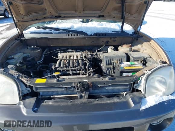 2002 Hyundai Santa Fe GLS z VIN KM8SC73D62U316002, wystawiony jako IAAI lot #41249855 z przebiegiem Nie podano mil oraz . Historia ofert i sprzedaży dostępna na DreamBid. Obrazek 10.