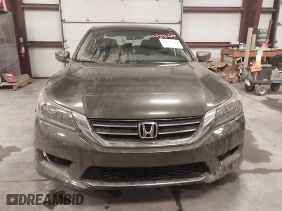 ✅ 2014 Honda Accord LX • VIN: 1HGCR2F30EA088423 • Лот: 43846200. Опубликован ранее на IAAI с пробегом 146 275 миль. Бесплатный доступ к архиву аукционных продаж из США и подробный отчёт об истории автомобиля на DreamBid. Изображение 13.