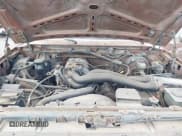 ✅ 1989 Ford Bronco Eddie Bauer • VIN: 1FMEU15N9KLA31278 • Lot: 43160740. Listed on IAAI with 21,208 mi. Free auction sales archive from the USA and detailed vehicle history report at DreamBid. Image 10.